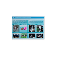 Стенд-планшет светодинамический «Изучение асептических и гнойных воспалительных процессов» - «globural.ru» - Дербент