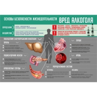 Стенд "Алкоголь" - «globural.ru» - Дербент