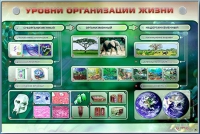 Электрифицированный стенд "Уровни организации жизни" - «globural.ru» - Дербент