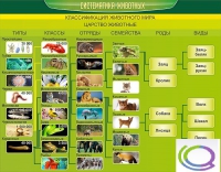 Стенд "Систематика животных" - «globural.ru» - Дербент