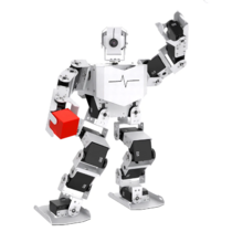 Базовый робототехнический набор  "Техник" для изучения систем управления робототехническими комплексами и андроидными роботами "Сережа ИН Про". Полный комплект на Raspbery Pi - «globural.ru» - Дербент