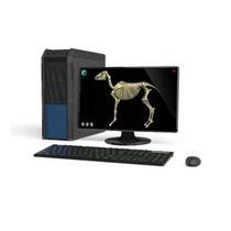 Макет масштабный «Скелет Лошади» Масштаб 1:2 - «globural.ru» - Дербент