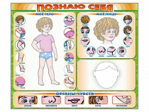 Стенд маркерный "Познаю себя" (тело, голова, органы чувств) - «globural.ru» - Дербент