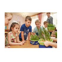 Обучающий комплект экологической направленности "Сити-фермер 2.0 Детский сад" 30 человек - «globural.ru» - Дербент