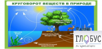 Стенд "Круговорот веществ" - «globural.ru» - Дербент