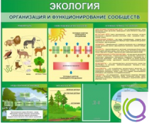 Стенд "Экология. Организация и функционирование сообществ" - «globural.ru» - Дербент