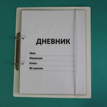 Дневник школьника (с полным набором карточек) - «globural.ru» - Дербент