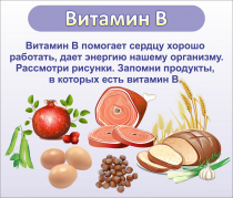 Стенд "Витамин В" - «globural.ru» - Дербент