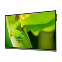 Интерактивный программно-аппаратный комплекс Geckotouch Interactive IP75GT-C в комплекте с настенным креплением - «globural.ru» - Дербент