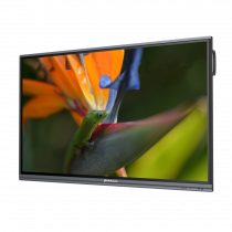 Интерактивный программно-аппаратный комплекс Geckotouch Interactive Pro IP75HT-E в комплекте с настенным креплением - «globural.ru» - Дербент