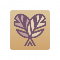 Тренажер-корректор зеркального письма “Почерк Леонардо” - «globural.ru» - Дербент