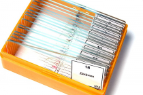 Набор микропрепаратов N18 - «globural.ru» - Дербент