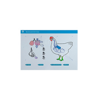 Стенд-планшет светодинамический "Изучение органов дыхания сельскохозяйственных животных" со сменными панелями - «globural.ru» - Дербент