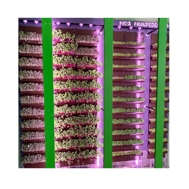 Вертикальная ферма "Моя Микрозелень" комплектация Школьная - «globural.ru» - Дербент