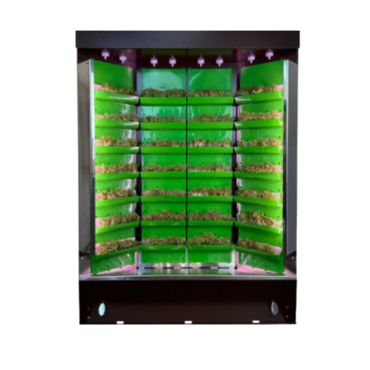 Вертикальная ферма "Моя Микрозелень" комплектация "Театро настольная" - «globural.ru» - Дербент