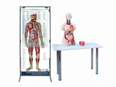 Интерактивный учебный комплекс "Анатомический атлас 3D" - «globural.ru» - Дербент