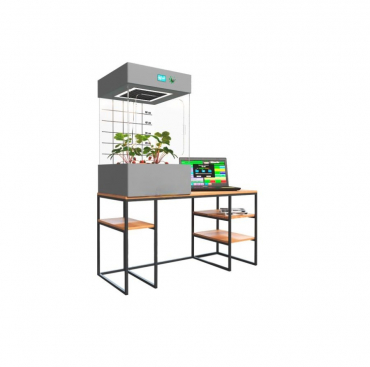 Цифровая био система по выращиванию растений для ДОУ. Расширенный уровень - «globural.ru» - Дербент