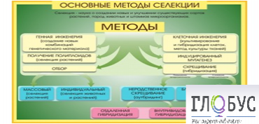 Стенд "Методы селекции и биотехнологии" - «globural.ru» - Дербент