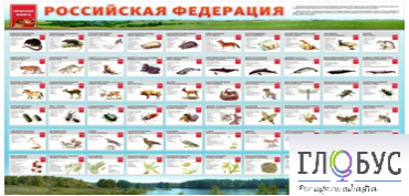 Стенд "Красная книга РФ" - «globural.ru» - Дербент