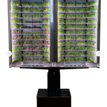 Вертикальная  ферма «Моя микрозелень» комплектация  «Театро настенная» - «globural.ru» - Дербент