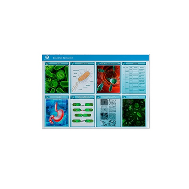 Стенд-планшет светодинамический «Изучение экологии бактерий» - «globural.ru» - Дербент