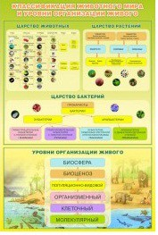Стенд "Классификация животного мира" - «globural.ru» - Дербент